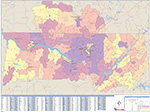 Demographic w/ Radius Rings